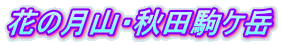 花の月山・秋田駒ケ岳 